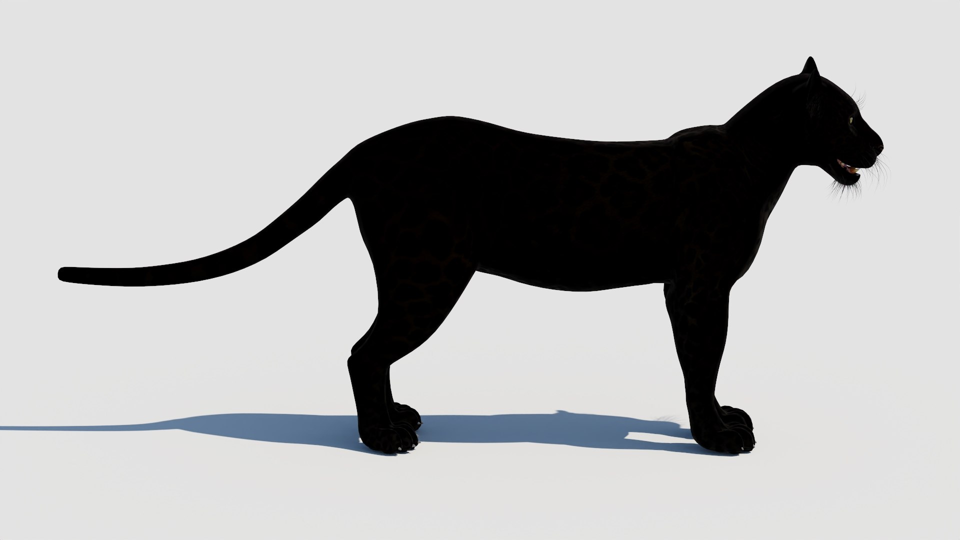 panther black animal 3d model https://p.turbosquid.com/ts-thumb/dj/Qz8iha/og/panther3dmodel07/jpg/1711014459/1920x1080/fit_q87/04d59f9f5dfcb85c285bbd4d9c44bb013d5d2ec3/panther3dmodel07.jpg