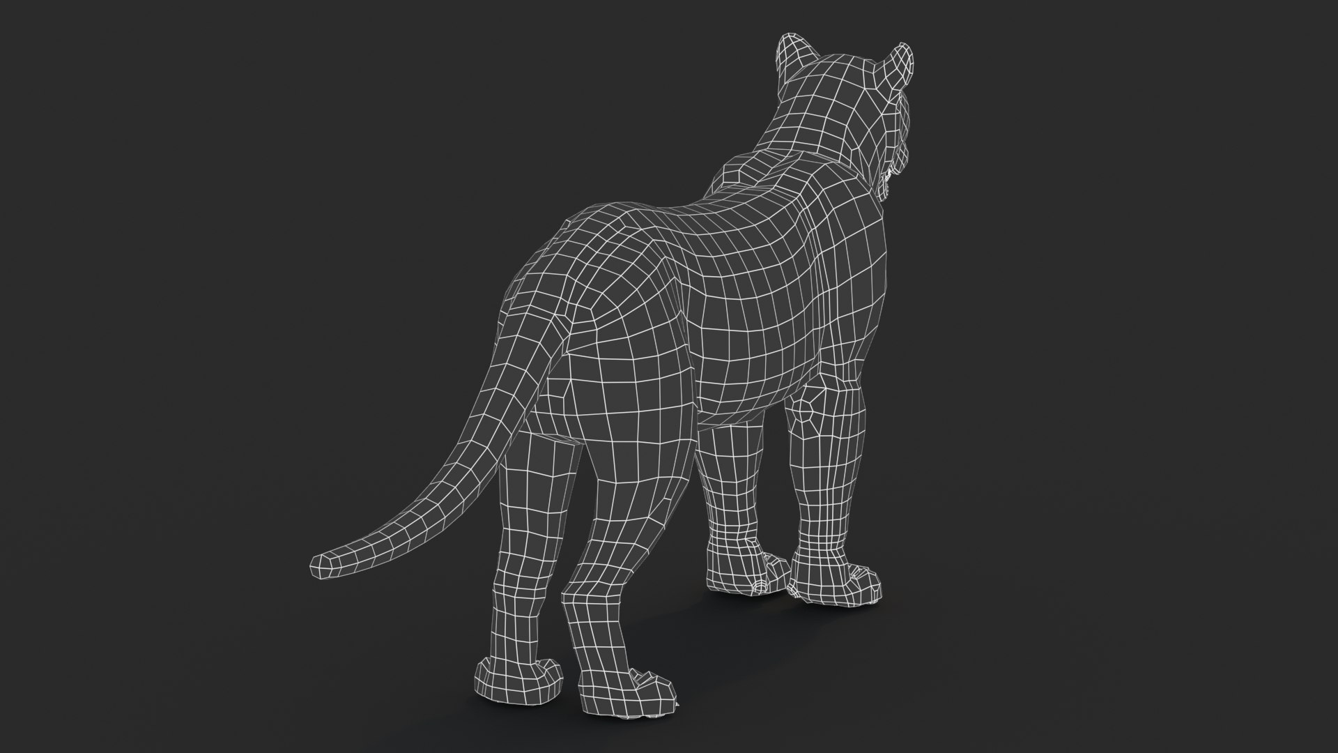 panther black animal 3d model https://p.turbosquid.com/ts-thumb/dj/Qz8iha/pk/panther3dmodelwireframe03/jpg/1711014463/1920x1080/fit_q87/768a6424757663db3cc8ed978d2b9b0d535a79fb/panther3dmodelwireframe03.jpg
