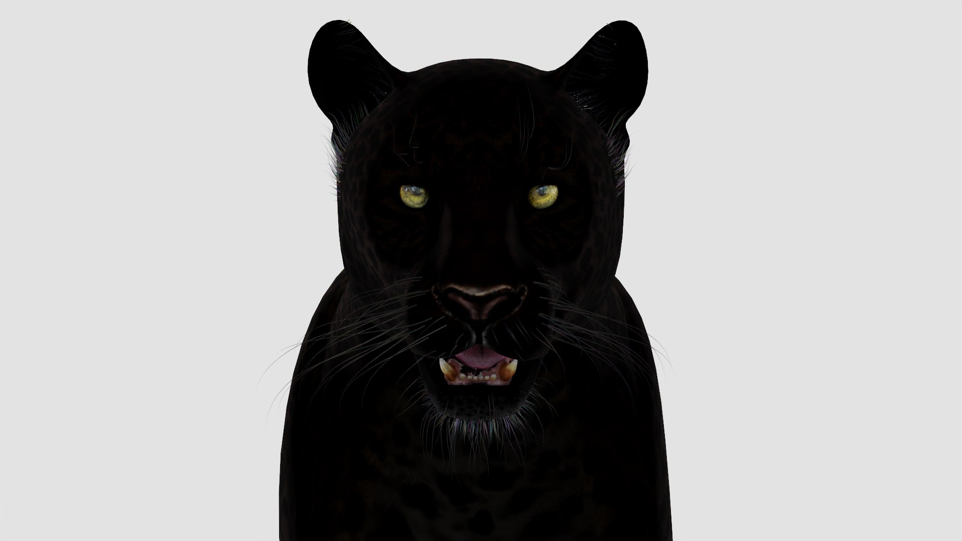 panther black animal 3d model https://p.turbosquid.com/ts-thumb/dj/Qz8iha/sb/panther3dmodel12/jpg/1711014461/1920x1080/fit_q87/b8b65c4d95c05c1b1da6a81b65ac156c198fa03b/panther3dmodel12.jpg