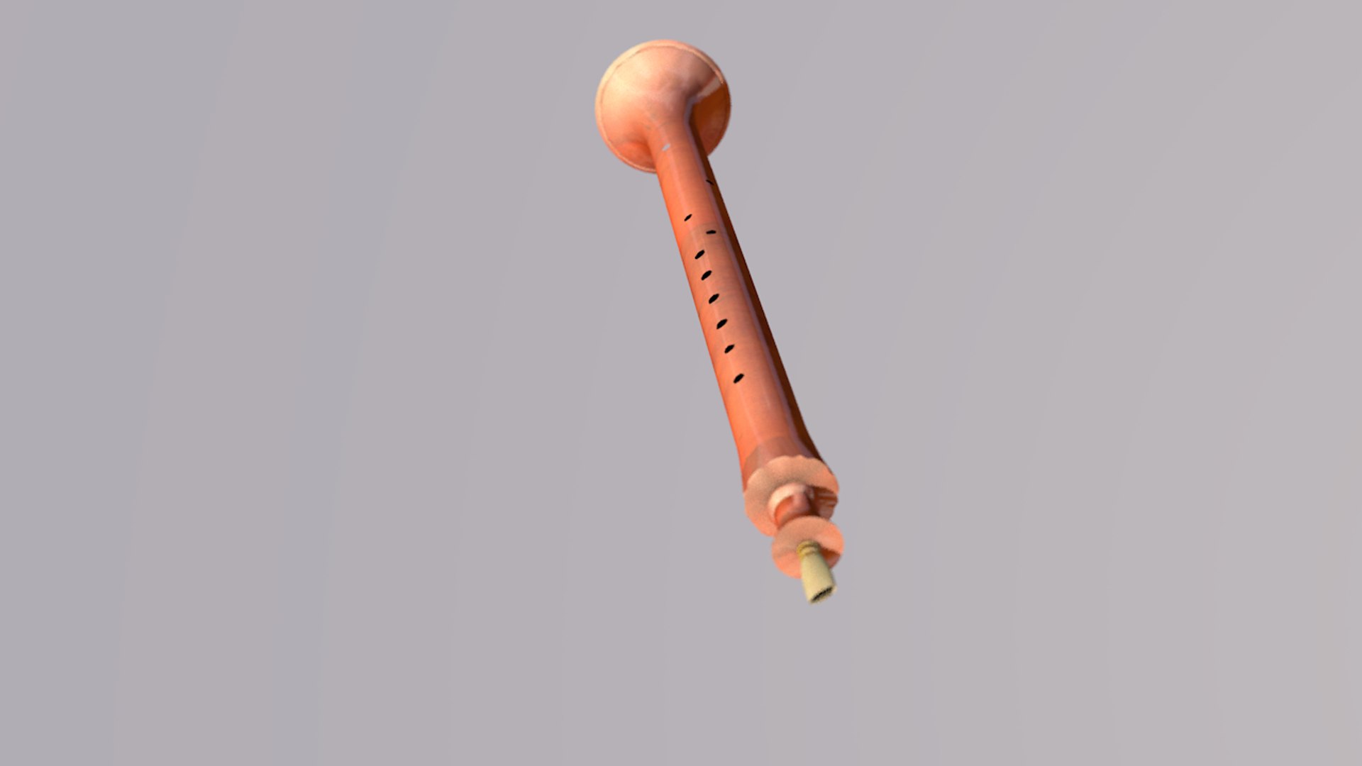 Shawm Woodwind Musical Instrument Model TurboSquid 1465059