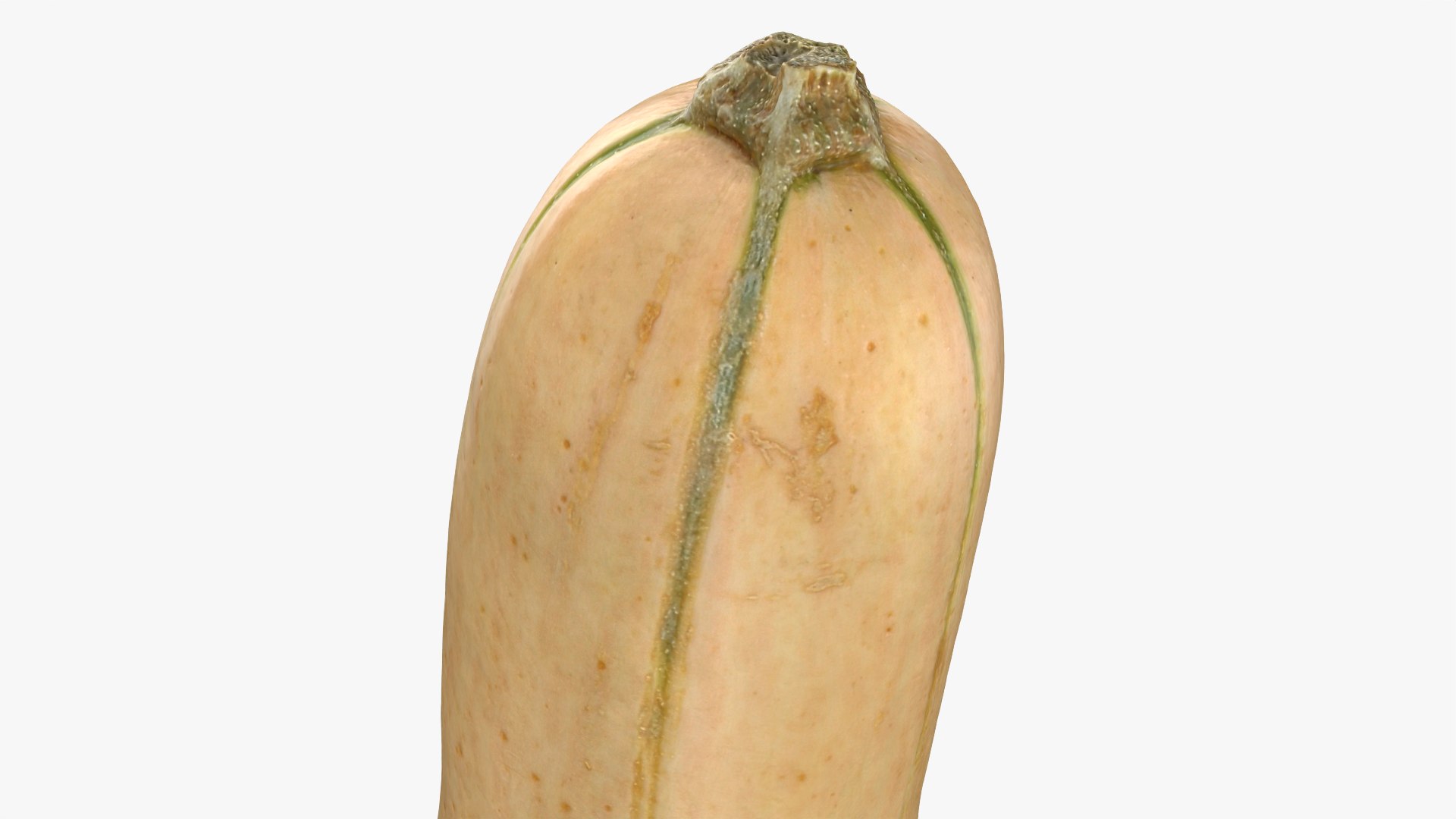 3D Butternut Squash 02 https://p.turbosquid.com/ts-thumb/dj/g6pRQ3/1K/butternutsquash02_0012/png/1763834936/1920x1080/fit_q87/ece6d631a8105ac5844af061d64a7b7b0f23503b/butternutsquash02_0012.jpg