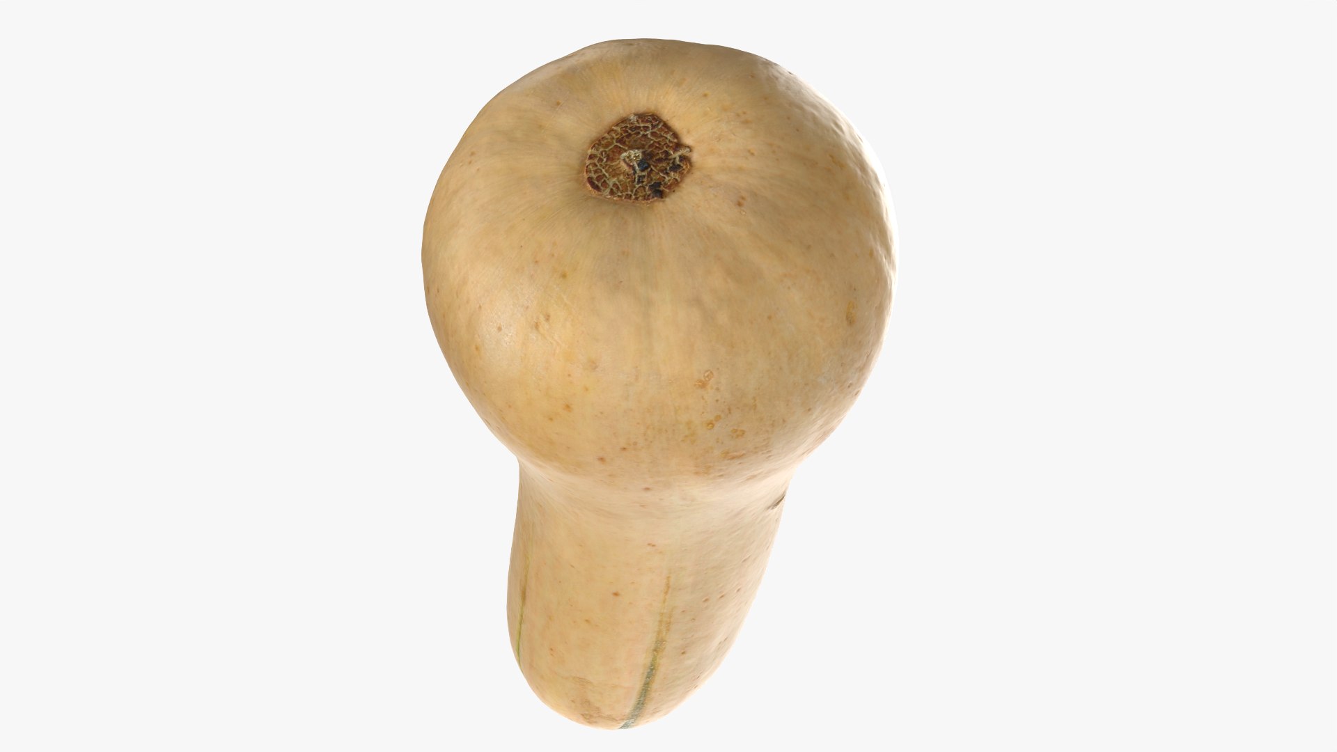 3D Butternut Squash 02 https://p.turbosquid.com/ts-thumb/dj/g6pRQ3/78/butternutsquash02_0008/png/1763834929/1920x1080/fit_q87/c05dcc81f9550e987529164f5d08a1ec1cff714d/butternutsquash02_0008.jpg