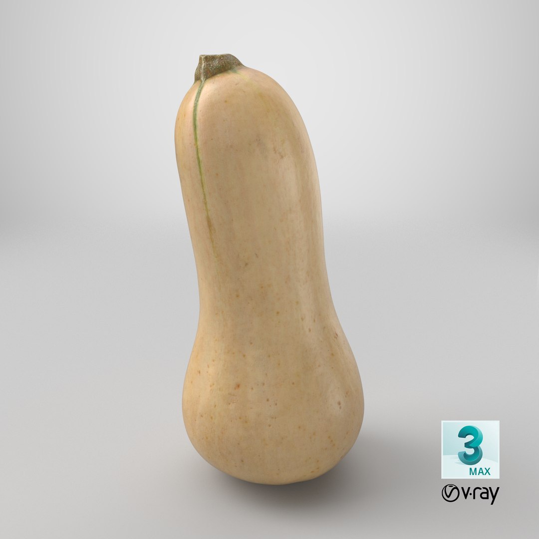 3D Butternut Squash 02 https://p.turbosquid.com/ts-thumb/dj/g6pRQ3/Kw/stemcell_max_vray_render/png/1765730244/1920x1080/fit_q87/1444e9f0b293550b9bbe7815e443a701f9e27754/stemcell_max_vray_render.jpg