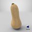 Zucca Butternut 02