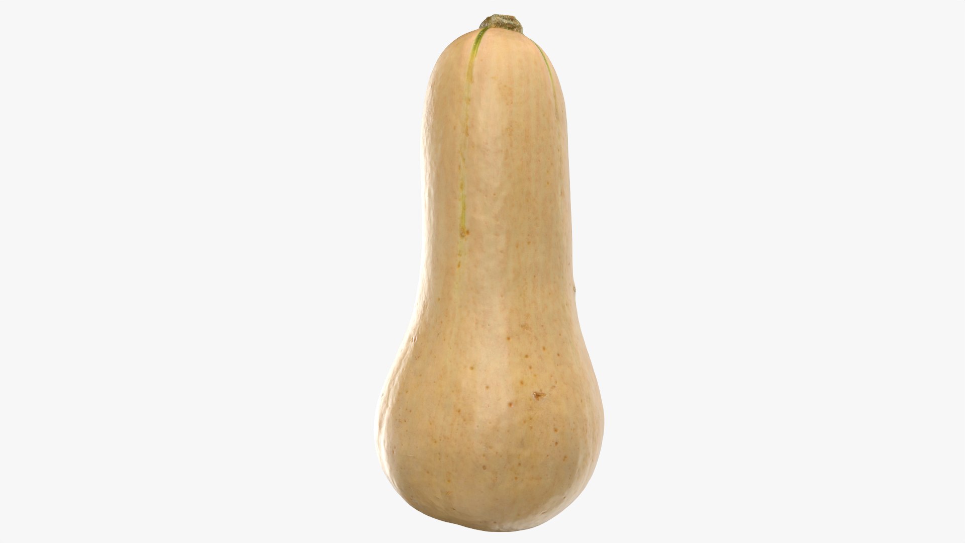 3D Butternut Squash 02 https://p.turbosquid.com/ts-thumb/dj/g6pRQ3/WM/butternutsquash02_0007/png/1763834930/1920x1080/fit_q87/2bff91aff5b9900759ae29523df0b352a1a93acd/butternutsquash02_0007.jpg