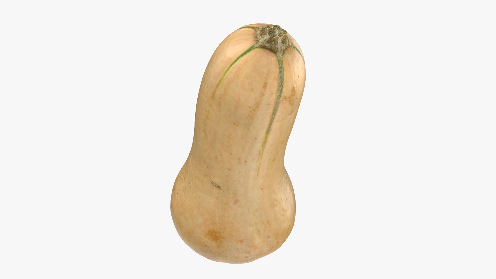 3D Butternut Squash 02 https://p.turbosquid.com/ts-thumb/dj/g6pRQ3/al/butternutsquash02_0010/png/1763834932/1920x1080/fit_q87/4194233a94d7f8a8748233605af077f08232ac1b/butternutsquash02_0010.jpg
