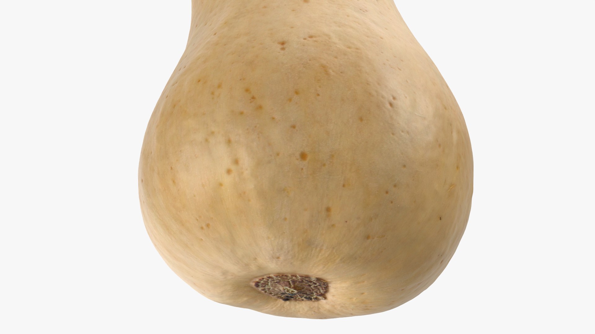 3D Butternut Squash 02 https://p.turbosquid.com/ts-thumb/dj/g6pRQ3/b0/butternutsquash02_0011/png/1763834939/1920x1080/fit_q87/3985735de489731664d11bb767999715cc6a5d73/butternutsquash02_0011.jpg