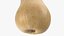 Zucca Butternut 02