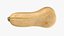 Zucca Butternut 02