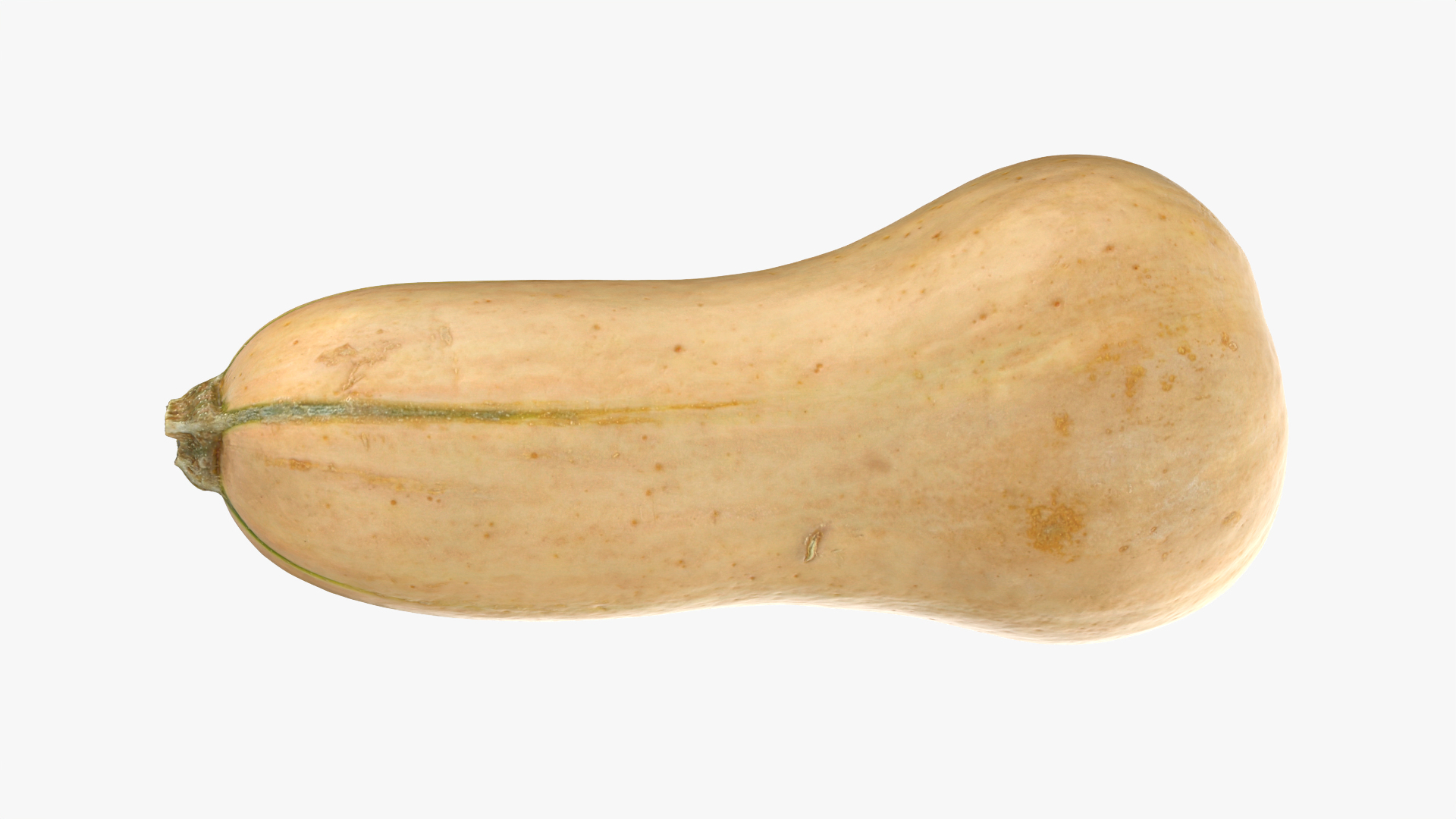 3D Butternut Squash 02 https://p.turbosquid.com/ts-thumb/dj/g6pRQ3/by/butternutsquash02/png/1764944913/1920x1080/turn_fit_q99/4ad1c70dd4db2ccbb7a699bbd0d055e7e4c31108/butternutsquash02-1.jpg