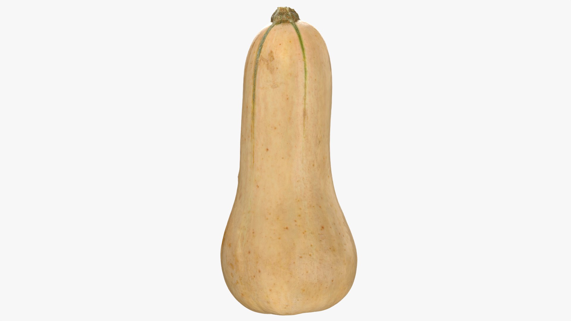 3D Butternut Squash 02 https://p.turbosquid.com/ts-thumb/dj/g6pRQ3/d5/butternutsquash02_0009/png/1763834931/1920x1080/fit_q87/49999e65aedddeff2f13c68c0ec7ae488ccc5436/butternutsquash02_0009.jpg