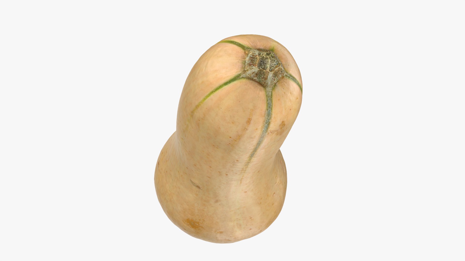 3D Butternut Squash 02 https://p.turbosquid.com/ts-thumb/dj/g6pRQ3/h8/butternutsquash02_0003/png/1763834917/1920x1080/fit_q87/42024b7e39229d4362b3f11e84e482e20c1bc1e1/butternutsquash02_0003.jpg
