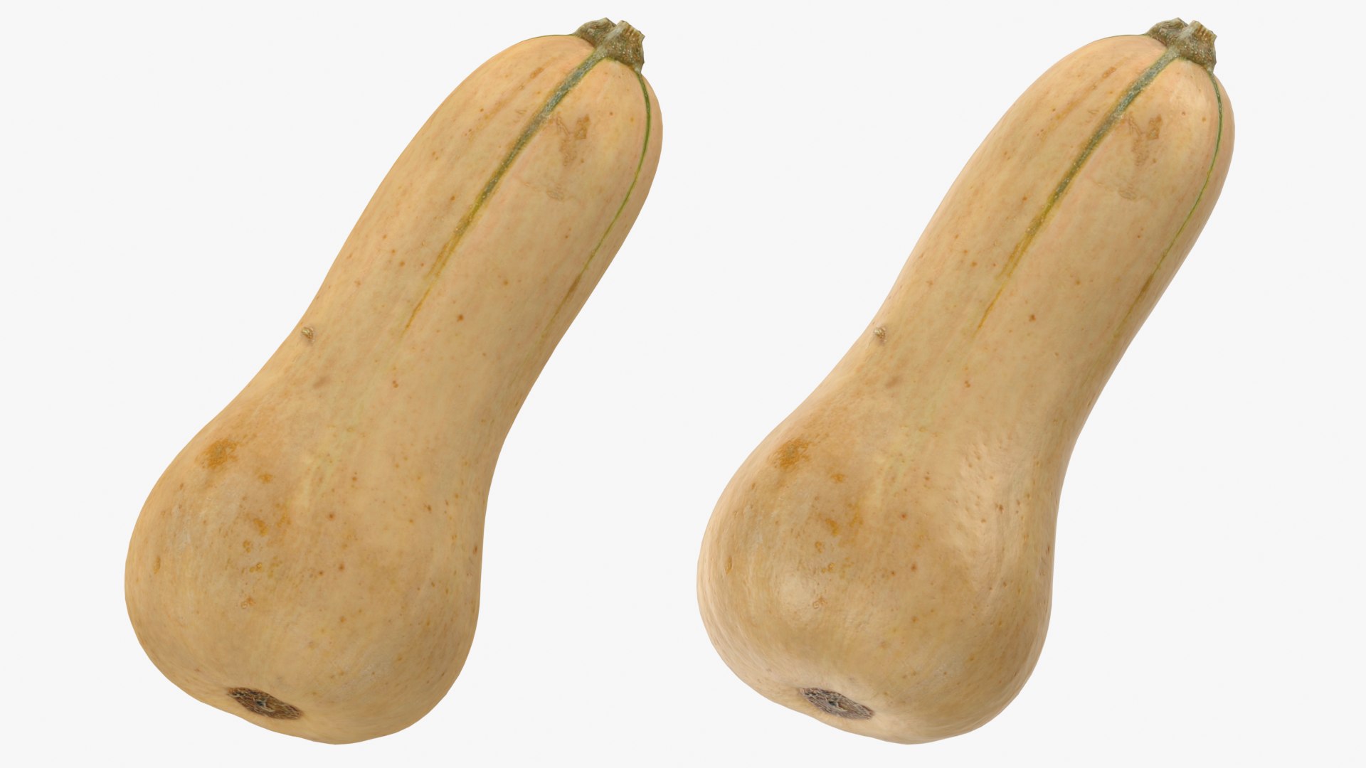 3D Butternut Squash 02 https://p.turbosquid.com/ts-thumb/dj/g6pRQ3/hP/butternutsquash02_0001b/png/1763834914/1920x1080/fit_q87/967b365f09ae73e47f4ece2993c4017cbf24c042/butternutsquash02_0001b.jpg