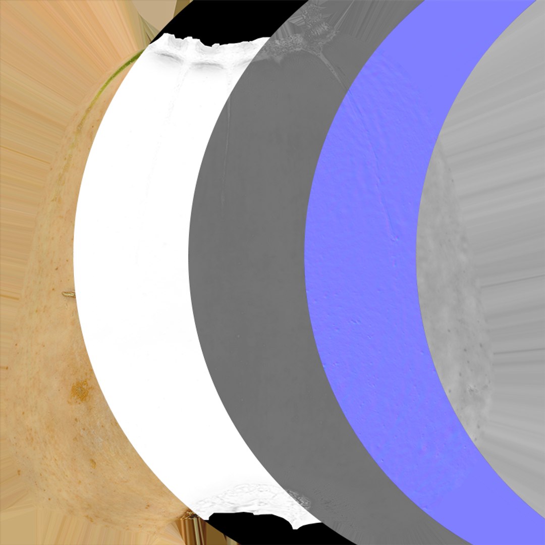 3D Butternut Squash 02 https://p.turbosquid.com/ts-thumb/dj/g6pRQ3/st/butternutsquash02_c0005/png/1763834939/1920x1080/fit_q87/123943866136240e4bc1e19d51948bcf675d5574/butternutsquash02_c0005.jpg