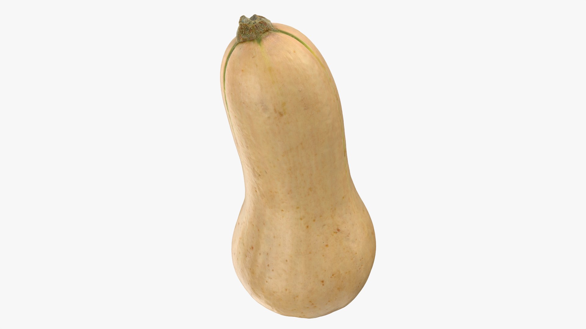 3D Butternut Squash 02 https://p.turbosquid.com/ts-thumb/dj/g6pRQ3/yX/butternutsquash02_0006/png/1763834921/1920x1080/fit_q87/bf3959bf823ae9ad1a7365f7cbe4e4cd0f60acab/butternutsquash02_0006.jpg