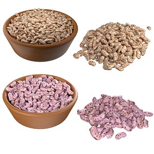 Roman and Borlotti Bean set 3D model
