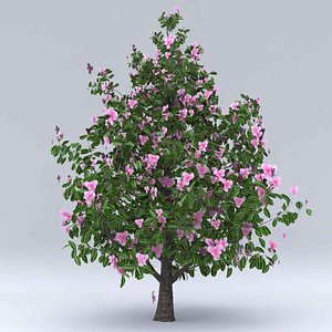 3D magnolia summer hight model