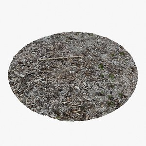 Gravel Wood 02 - 3D photogrammetry model scan of gravel with wood chips 3D
