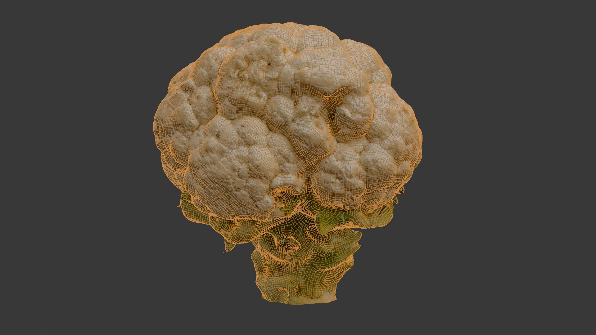 3D Realistic Cauliflower 3D Scan Model - TurboSquid 2400168