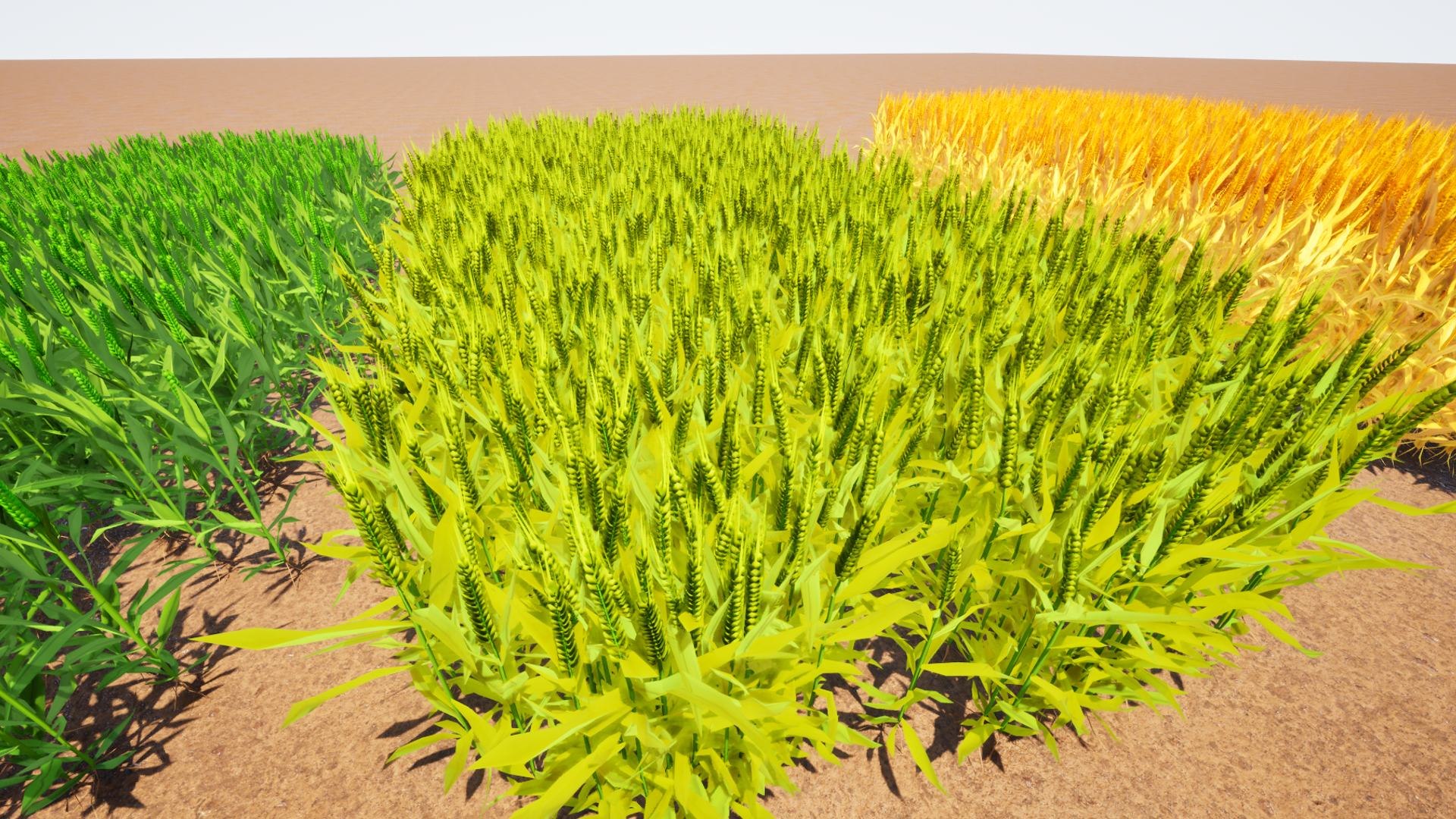 Stylized Wheat Growth Stages 3D Model - TurboSquid 2453018