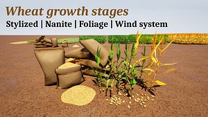 Stylized wheat growth stages