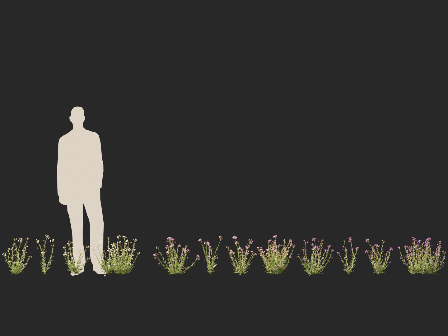 3D model HighpolyLow Poly - Mimulus gracilis - slender monkey flower https://p.turbosquid.com/ts-thumb/dl/I7wUi9/Yp/mimulusgracilis012/jpg/1745076368/1920x1080/fit_q87/0faa1bf2d795504ba5c2f90c11aa120d7b1d1570/mimulusgracilis012.jpg