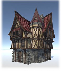 Medieval City