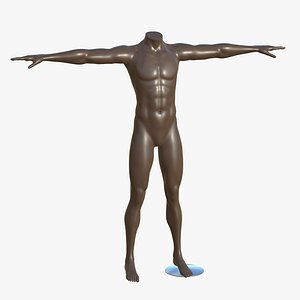 3D T Mannequin V3 Non Localmax