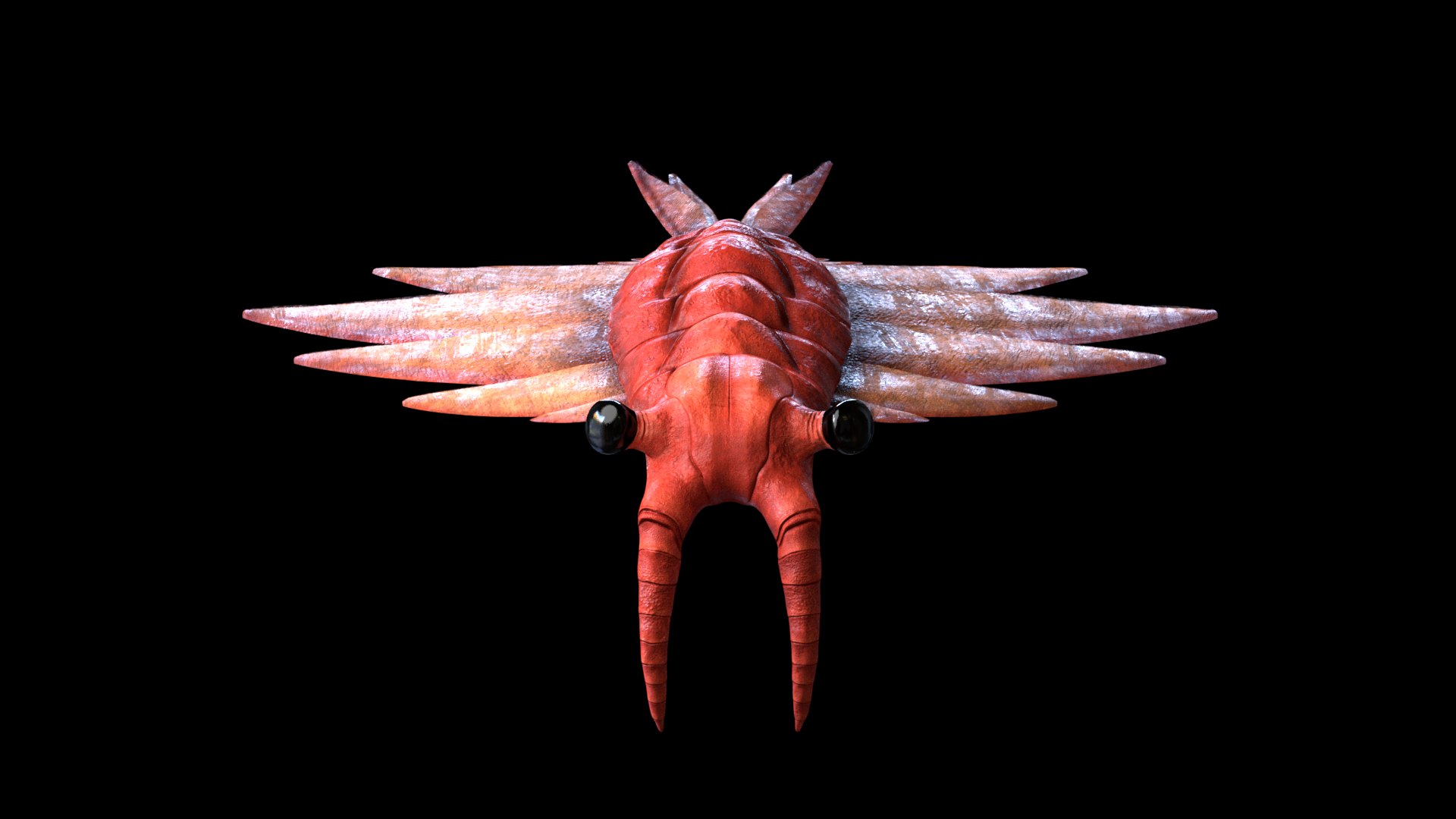 3D anomalocaris canadensis https://p.turbosquid.com/ts-thumb/dl/k3behV/O9Nl8D9n/r2/png/1534694070/1920x1080/fit_q87/d2a7ea41ebfb6237af2d6f68f67564096671f39c/r2.jpg