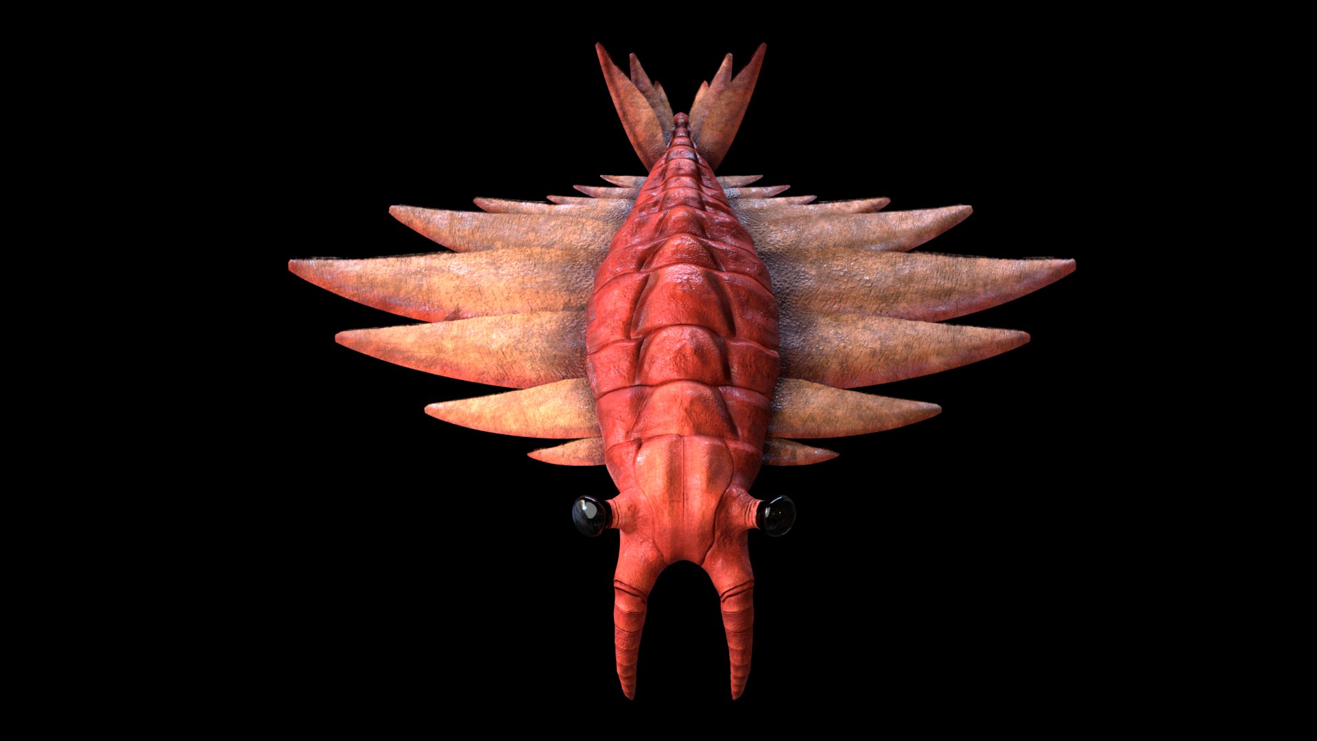 3D anomalocaris canadensis https://p.turbosquid.com/ts-thumb/dl/k3behV/nJj0pj7K/r4/png/1534694070/1920x1080/fit_q87/343650fd5f5b85c5f6e98ad099c0a70017010680/r4.jpg