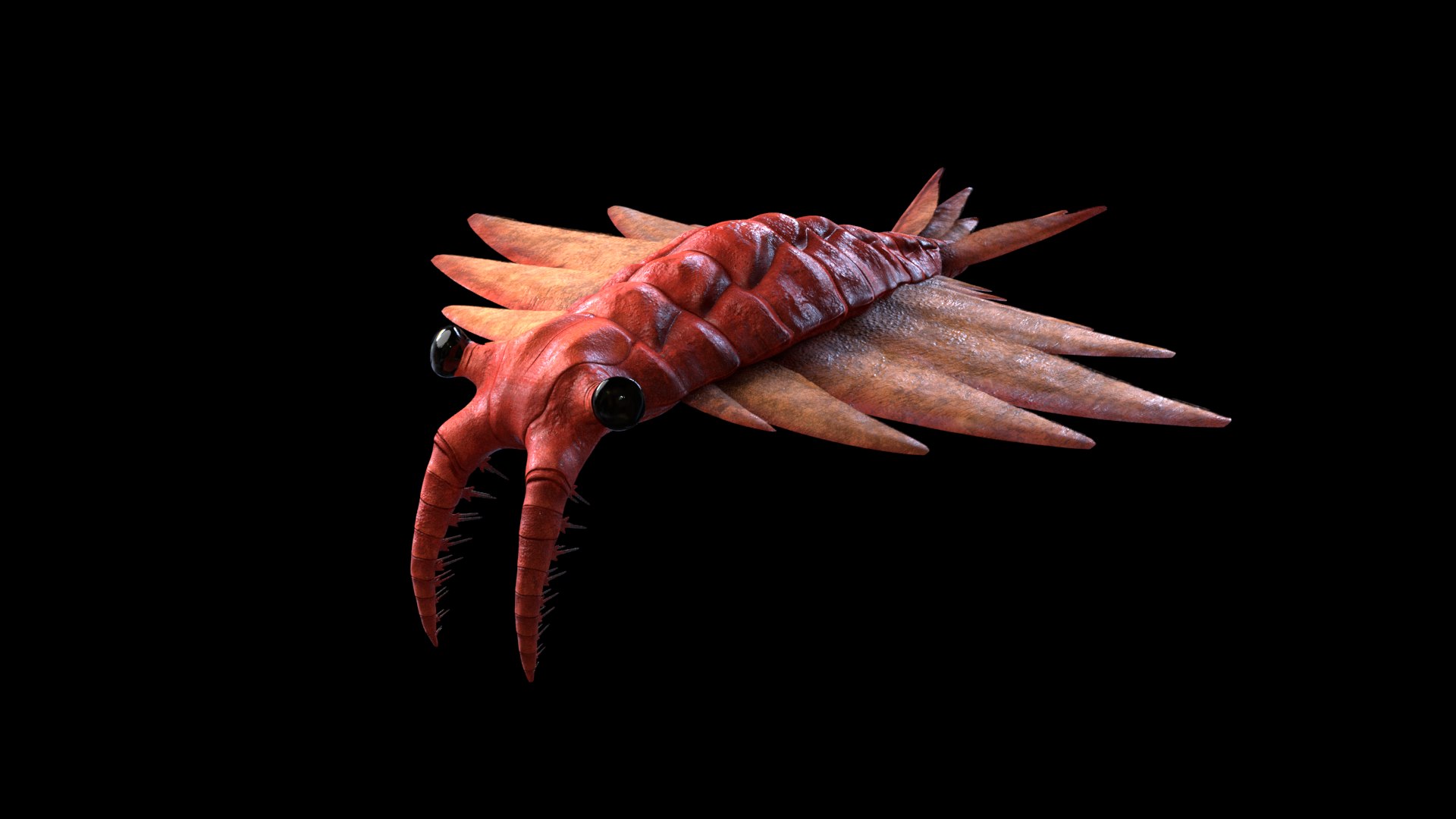 3D anomalocaris canadensis https://p.turbosquid.com/ts-thumb/dl/k3behV/u1lALZNw/r1/png/1534694070/1920x1080/fit_q87/53f890d2383f12cb3e2d8a3cbf24b692a91d2eb4/r1.jpg