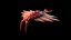 Anomalocaris Canadensis Static