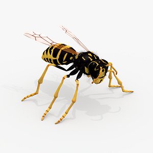 Realistic Wasp - Rigged