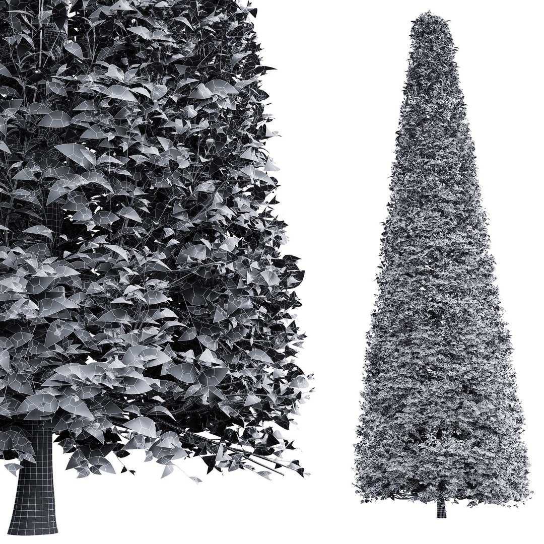 Carpinus Betulus Broadleaf Conical and Cigarette and Box model https://p.turbosquid.com/ts-thumb/dl/qbmkoU/Q2/06/jpg/1658214248/1920x1080/fit_q87/9e549ebad31d8fe88ce17a4d081ba11a78214c15/06.jpg