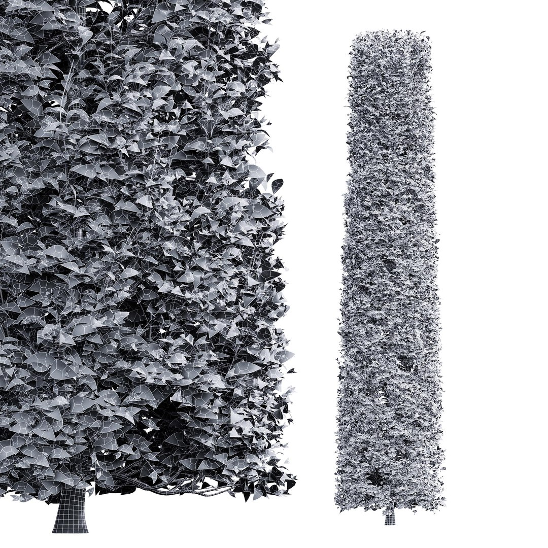 Carpinus Betulus Broadleaf Conical and Cigarette and Box model https://p.turbosquid.com/ts-thumb/dl/qbmkoU/SF/05/jpg/1658214244/1920x1080/fit_q87/4756388ec75a6cd63860e6c3d782cb2abc1bbca4/05.jpg