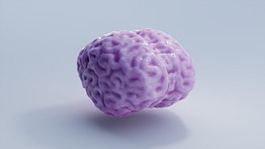 Brain