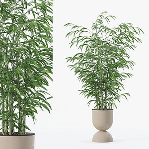 3D Bamboo in modern flower pot model