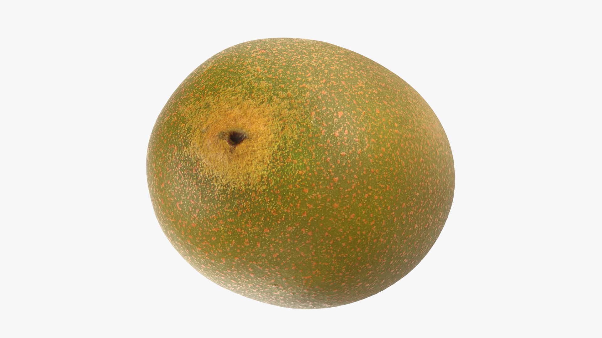 Golden Kiwi Collection 3D model https://p.turbosquid.com/ts-thumb/dm/fpNlUI/6W/kiwigolden_0009/png/1761972461/1920x1080/fit_q87/de5cefb3eadfa13d95edfca26d15ec1776a6c930/kiwigolden_0009.jpg