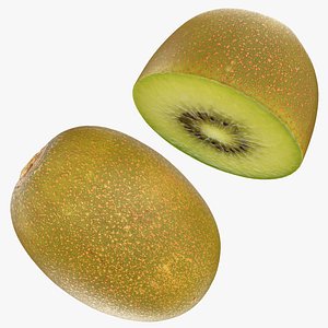 Golden Kiwi Collection 3D model