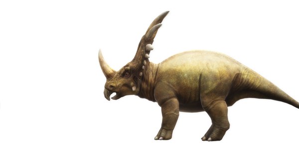 有动画的雷兽科3d模型