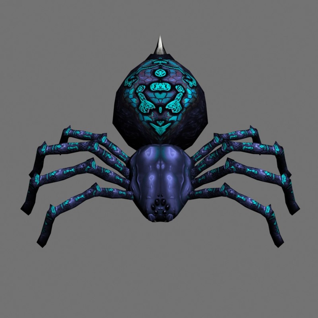 3D Spider - TurboSquid 666407