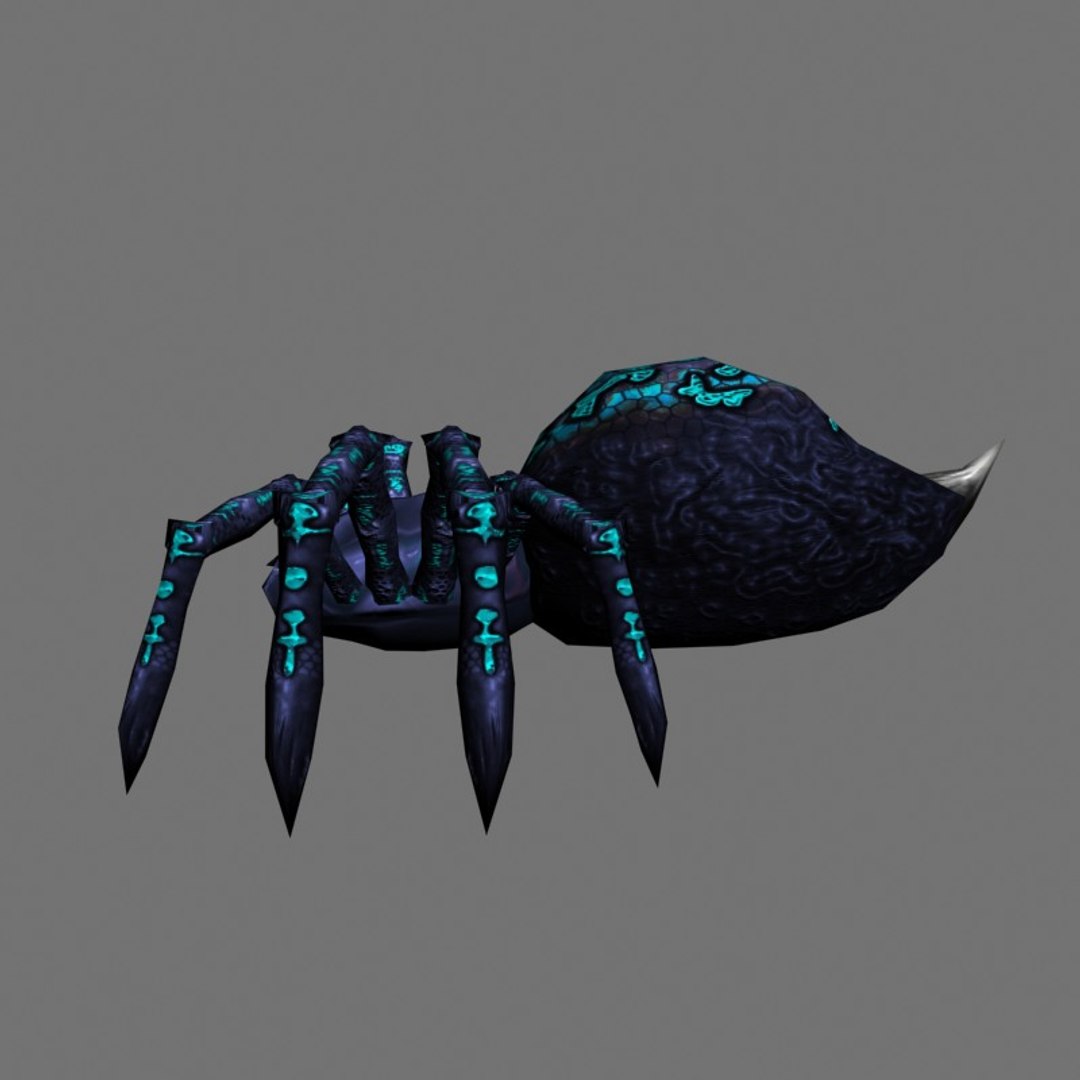 3D Spider - TurboSquid 666407