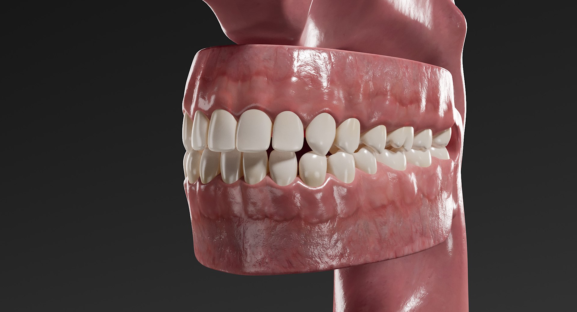 male marine head model https://p.turbosquid.com/ts-thumb/dm/tR1qBn/UEC6RBR6/_view43/jpg/1554276864/1920x1080/fit_q87/90b6662e6044a7168804f6df604b8499a8a570ce/_view43.jpg