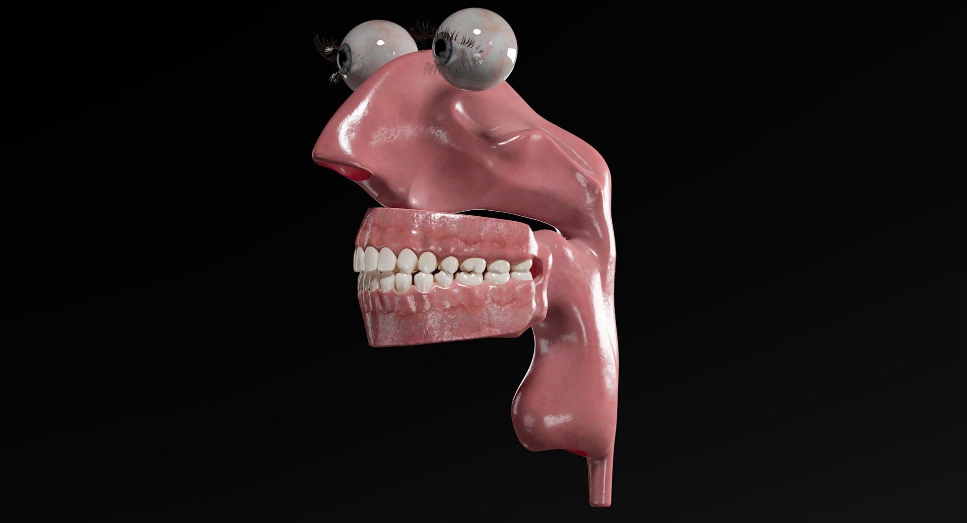 male marine head model https://p.turbosquid.com/ts-thumb/dm/tR1qBn/cgjcNNDJ/_view46/jpg/1554276864/1920x1080/fit_q87/8b696a2a290ec11ca1117d89276e284e9ae19e94/_view46.jpg