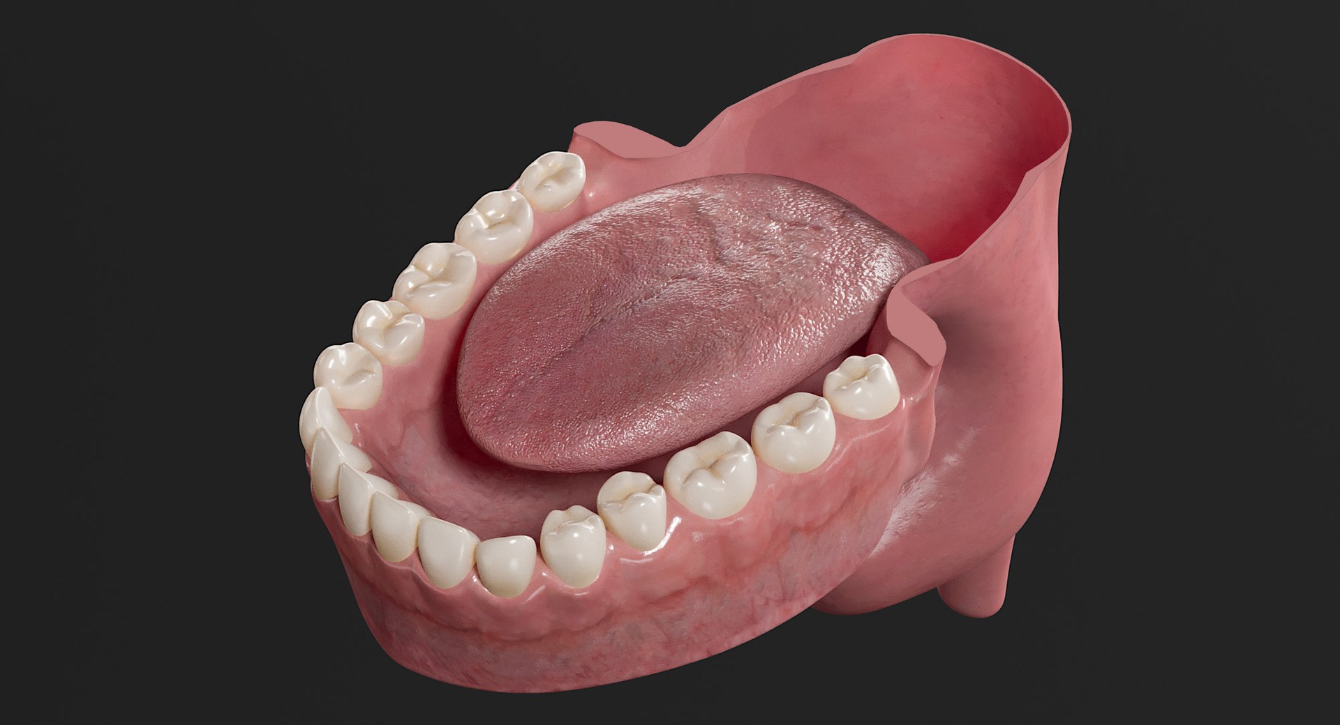male marine head model https://p.turbosquid.com/ts-thumb/dm/tR1qBn/yWVYRKy1/_view50/jpg/1554276864/1920x1080/fit_q87/9306d397449ce934d385388b65fd4ec2f2f7c33c/_view50.jpg