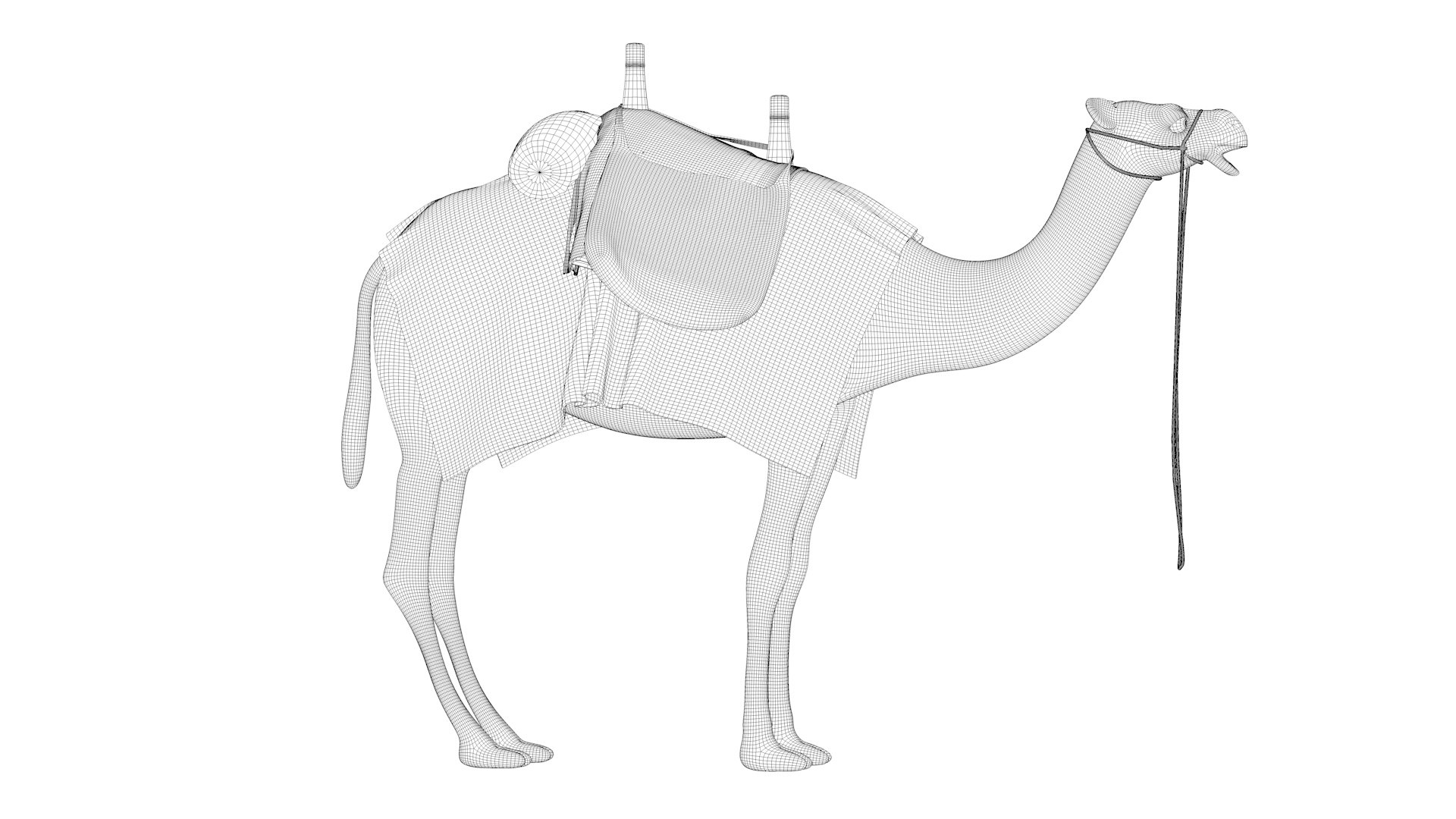 Camel with luggage 3D https://p.turbosquid.com/ts-thumb/dm/uwfVH9/th/camelwithluggage1_wire/jpg/1691568096/1920x1080/fit_q87/ae5214352caa86c0b84fc8004e0cc623578dc0fb/camelwithluggage1_wire.jpg