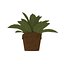 3D small potted plants model