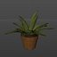 3D small potted plants model