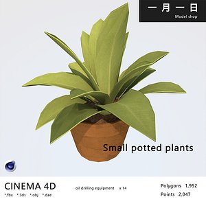 Small potted plants