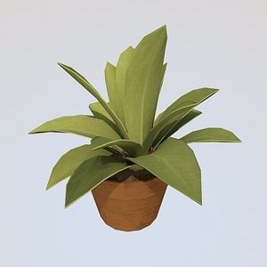 3D small potted plants model
